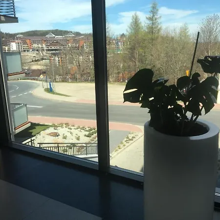 Silence Triventi Bialy Kot Daire Karpacz